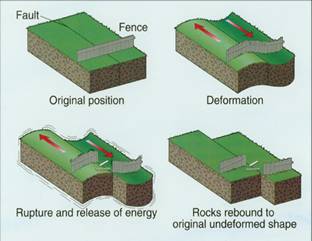 elasticrebound